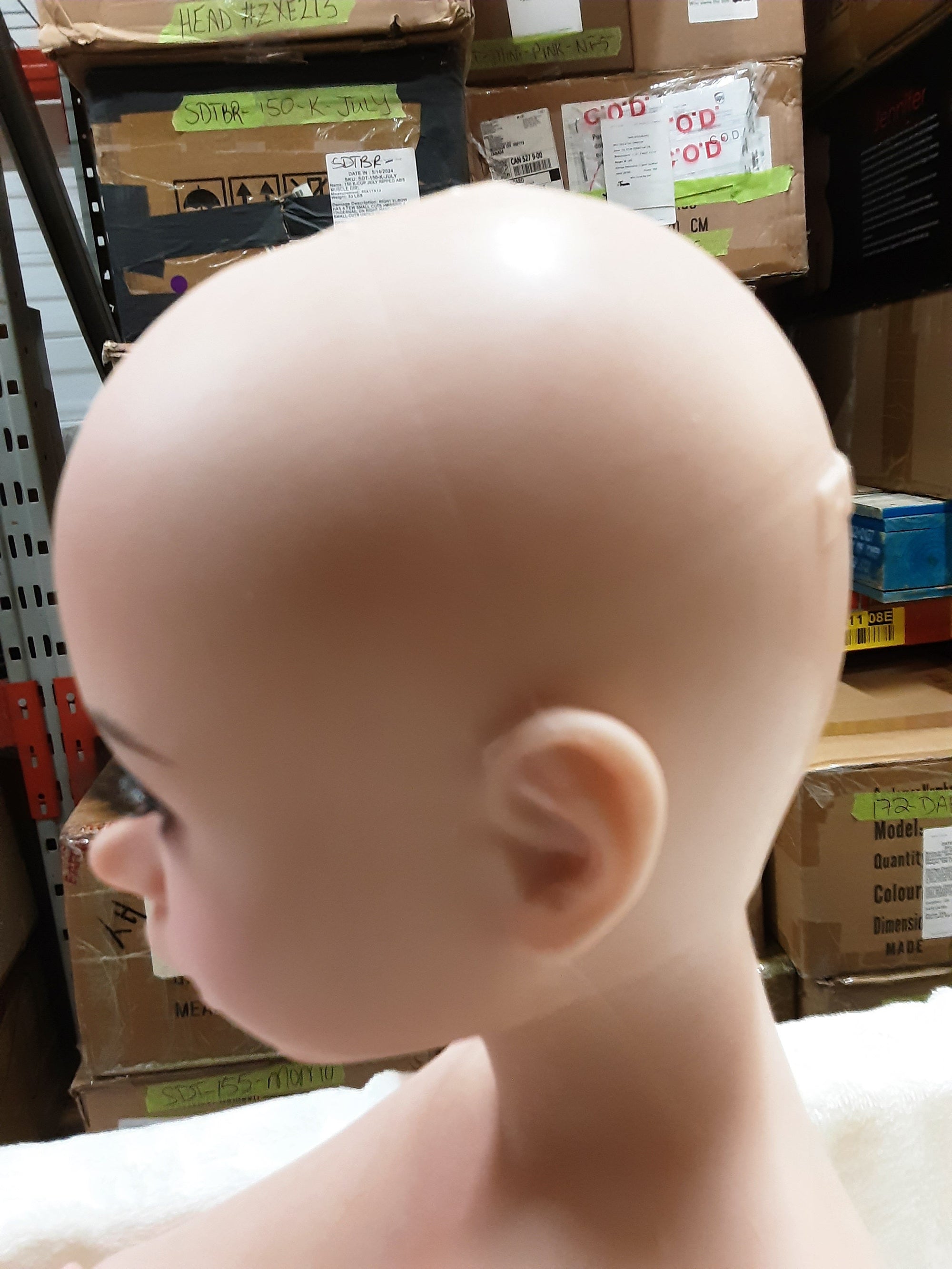 Realistic Sex Doll IN-STOCK - 100 (3'3") J-Cup Ariel S.A.F. - Full Silicone - Piper Doll X1 by Sex Doll America