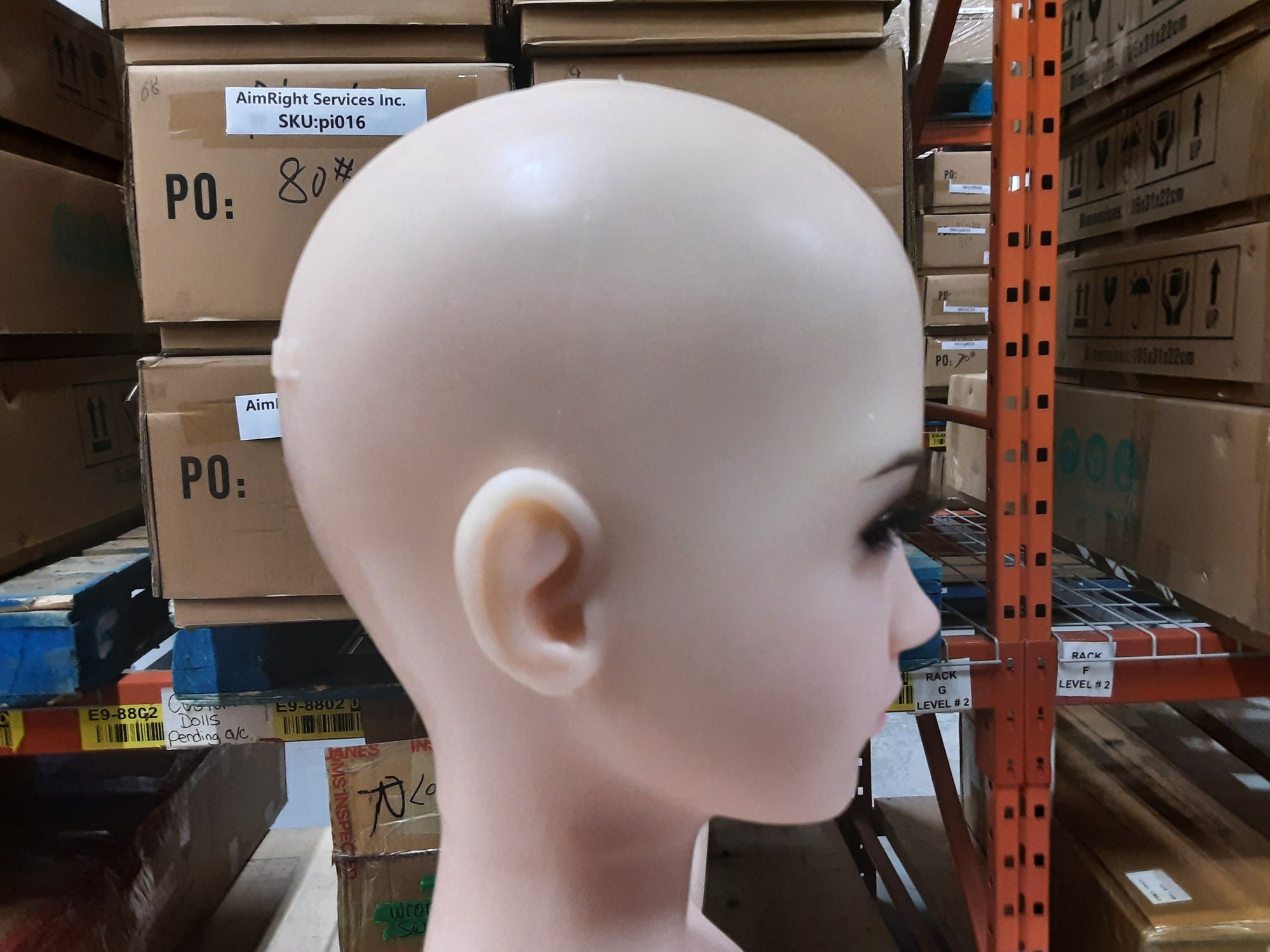 Realistic Sex Doll IN-STOCK - 130 (4'3") B-Cup Aika - Full Silicone - Piper Doll - X4 by Sex Doll America