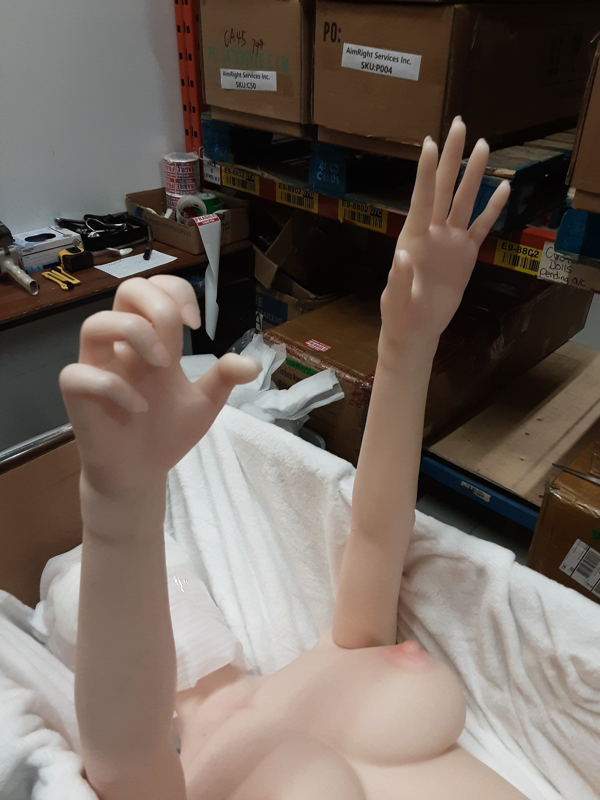 Realistic Sex Doll IN-STOCK - 155 (5'3") B-Cup Lana - Full Silicone - Piper Doll - X1 by Sex Doll America