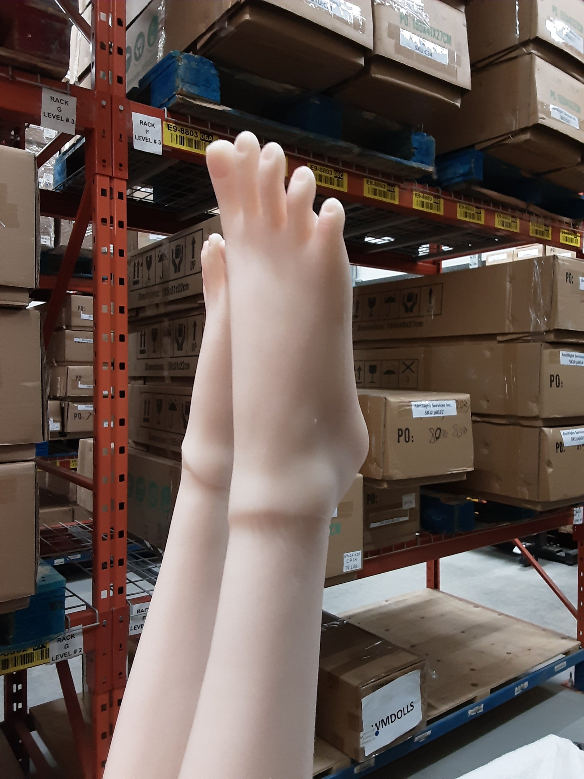 Realistic Sex Doll IN-STOCK - 155 (5'3") B-Cup Lana - Full Silicone - Piper Doll - X1 by Sex Doll America