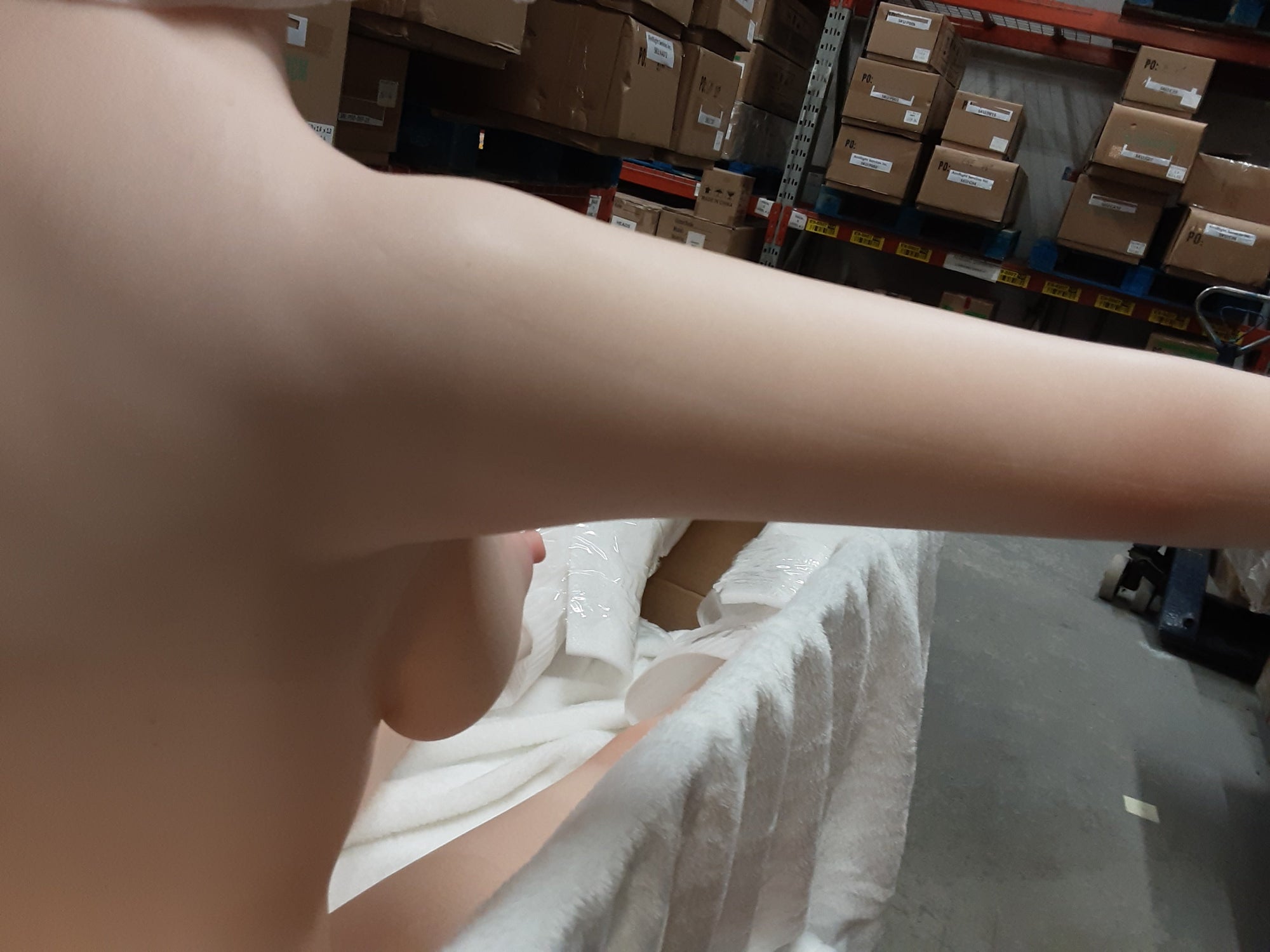 Realistic Sex Doll IN-STOCK - 130 (4'3") D-Cup Eirian - Full Silicone - Piper Doll - X1 by Sex Doll America