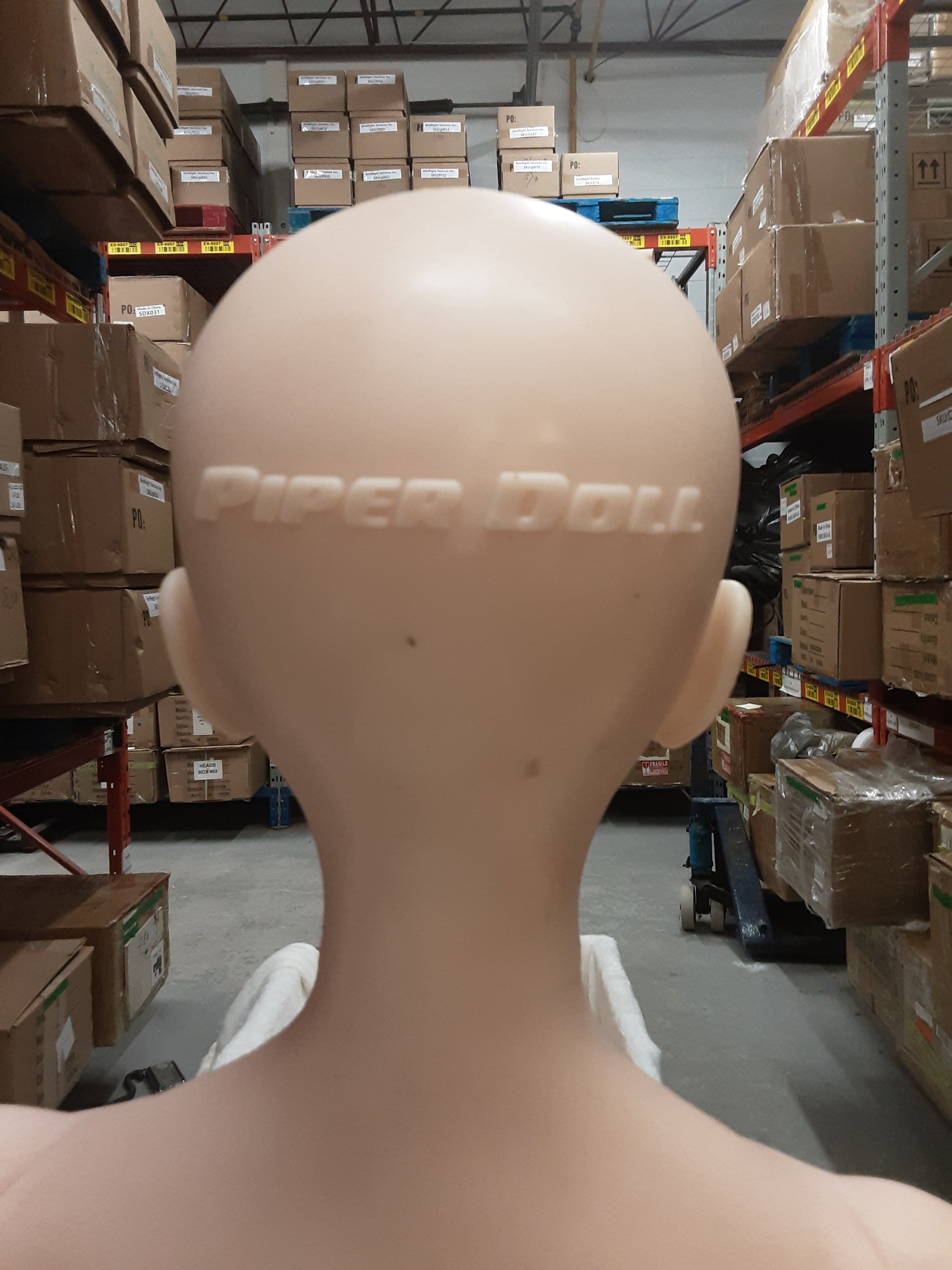 Realistic Sex Doll IN-STOCK 150 (4'11") Akira B-Cup - Piper Doll - X1 by Sex Doll America