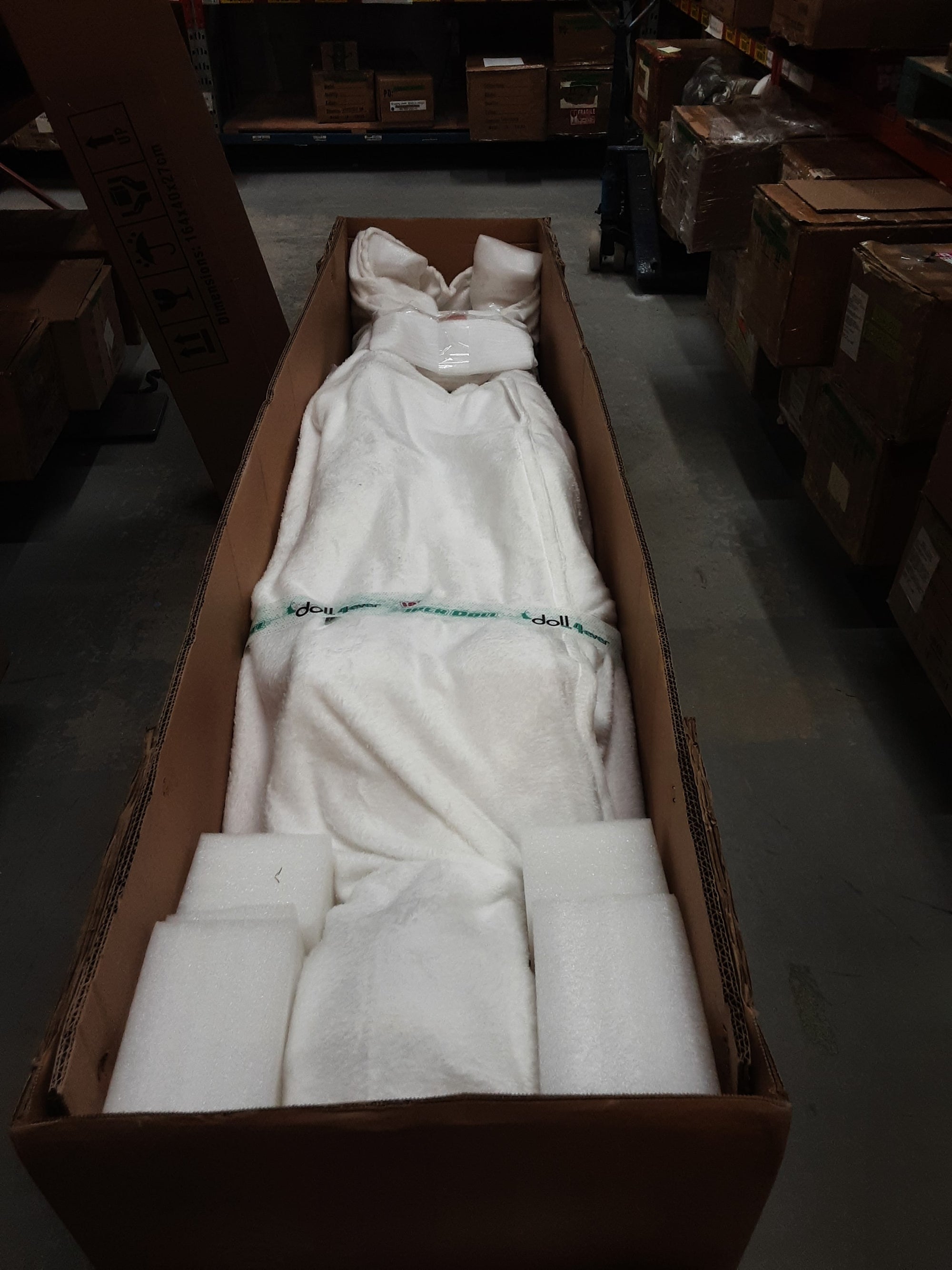 Realistic Sex Doll IN-STOCK - 160 (5'3") G-Cup Akira - Full Silicone - Piper Doll - X1 by Sex Doll America