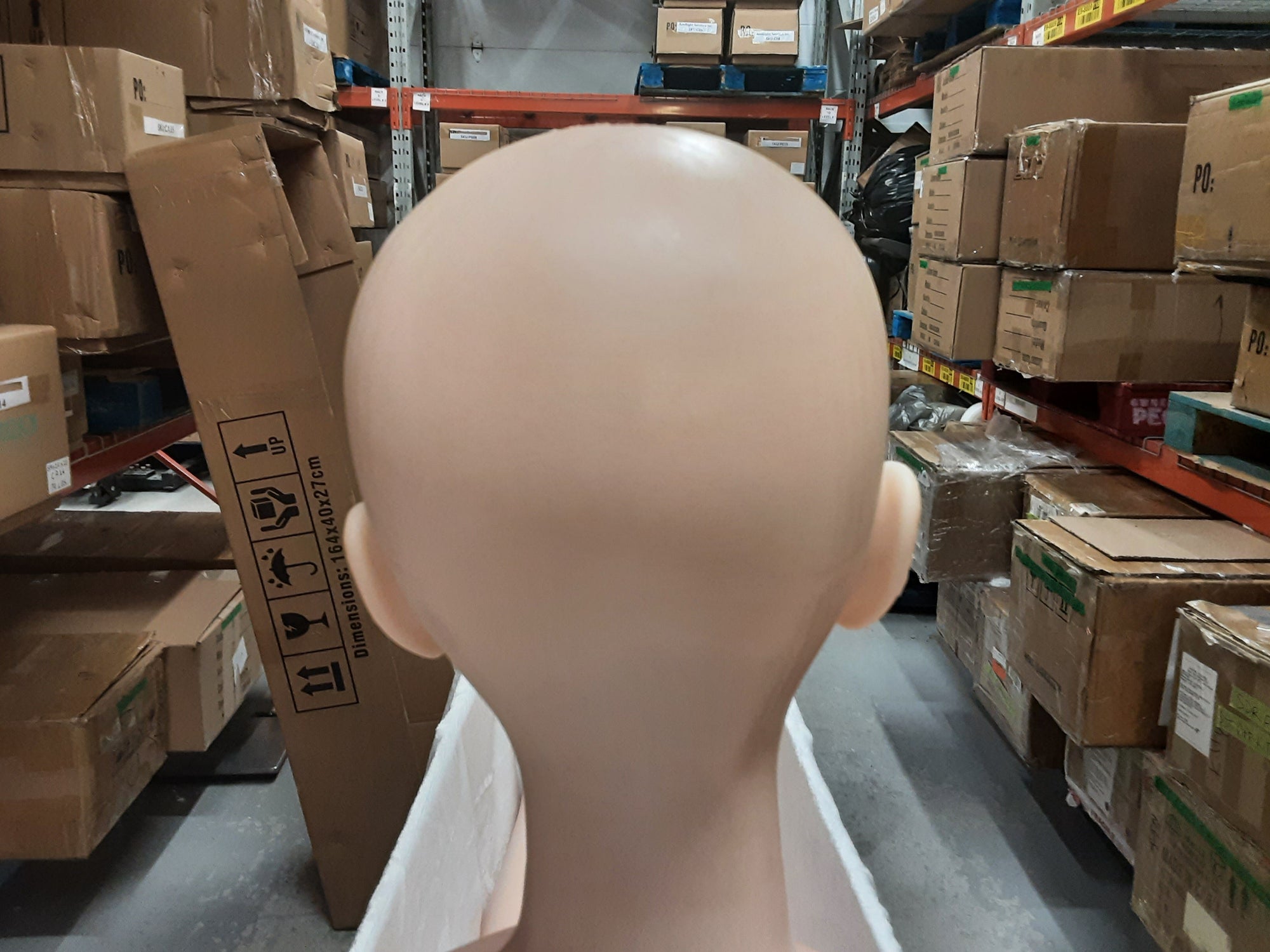 Realistic Sex Doll IN-STOCK - 160 (5'3") G-Cup Akira - Full Silicone - Piper Doll - X1 by Sex Doll America