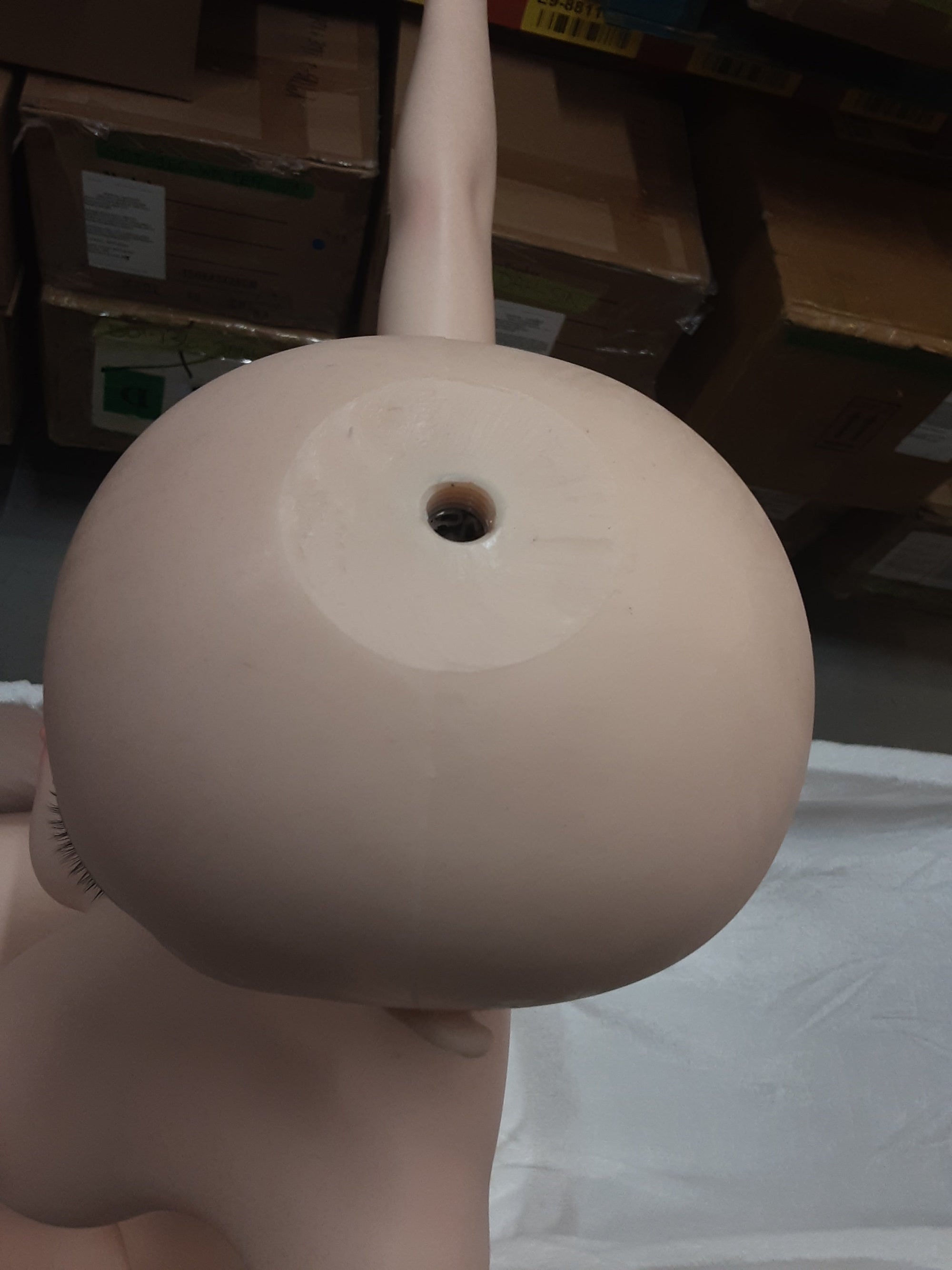 Realistic Sex Doll IN-STOCK - 160 (5'3") G-Cup Akira - Full Silicone - Piper Doll - X1 by Sex Doll America